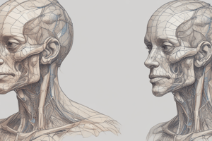 Erbs Palsy and Brachial Plexus Injuries Quiz