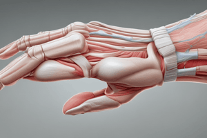 Rehabilitation of flexor and extensor tendon injuries in the hand: Current updates