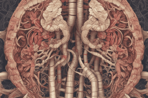 Respiratory Anatomy 1.5