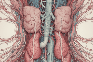 Functions of Kidney