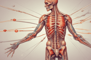 Pain Management: Inflammatory Pain and Nociceptors