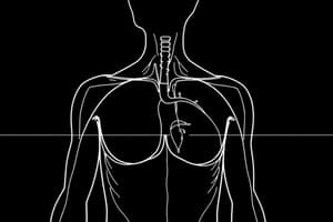 Barocettori e Chemocettori nel Sangue (fisiologia 51)