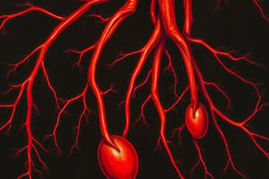 Blood Vessels and Hemodynamics