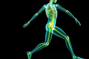 Human Movement and Biomechanics