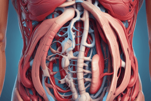 L19 The Stomach Planes and Abdominal Regions Quiz