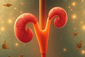 Renal Conditions, Urinalysis, and Hyponatremia