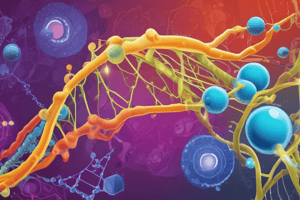 DNA structure and replication: fill in the blank