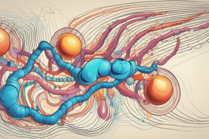 Signal Sequence in Protein Synthesis