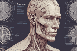 Examen Neurologique et Somatique