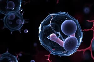 Biology Chapter 2.4: Cell Division and Death