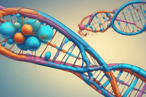 Eukaryotic Mismatch Repair and End Replication Problem