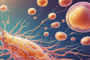 Staphylococcus aureus : caractéristiques et transmission