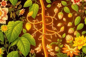 NCERT - RESPIRATION IN PLANTS - 24-25