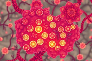 Lipid Metabolism Overview