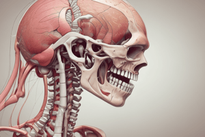 Y1S2 005 II Pharmacology of Skeletal Muscle Systems