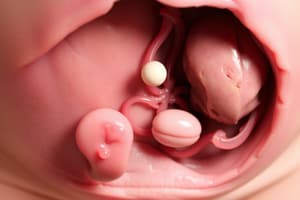 Ectopic Pregnancy Overview