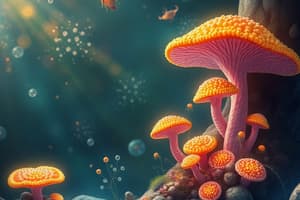 Animal-like Protists, Multicellularity, and Fungi