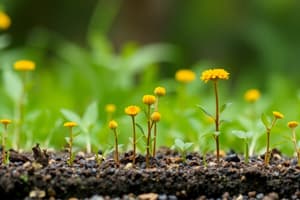 Écologie des Communautés