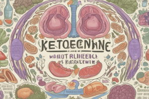 Ketogenic Diet and Epilepsy Treatment