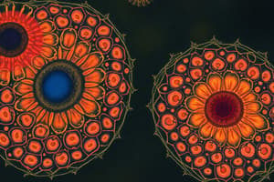 Prokaryotic vs. Eukaryotic Cells Quiz