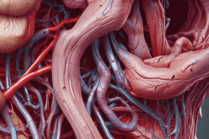 Anatomy of Parotid Gland Blood Vessels Quiz