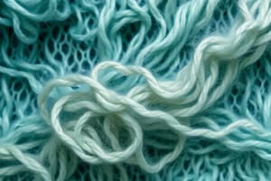 Textiles - Fibres Overview