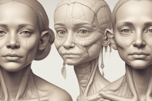 Development of Face and Palate