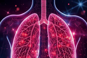 Biology Chapter: Human Respiratory System