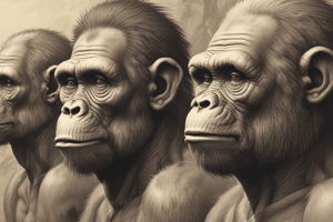 BIOB170N Quiz 12: Hominid Evolution