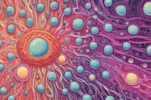 Epithelial Cells Structure and Types