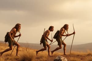 Early Humans and Their Lifestyle