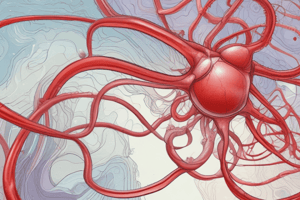 Oxygen Transport in Blood