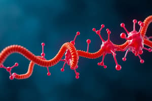 Biochemistry of cAMP and G Proteins