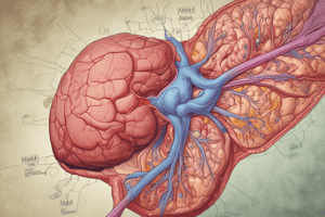 Y1S2 011 I Biochem Bilirubin and Liver Function