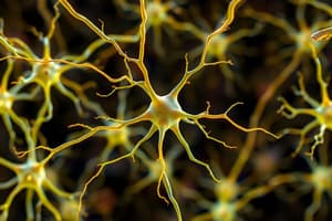 Introduction to Neuroscience