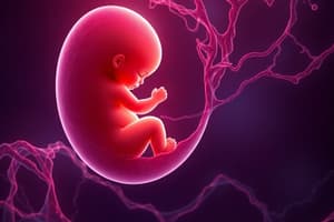 Embriología y Histología de la Placenta