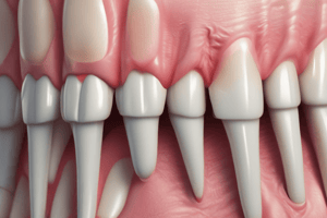 Periodontal Ligament Anatomy