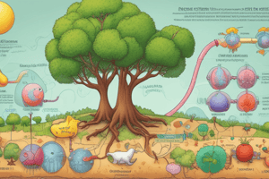 Citric Acid Cycle Overview