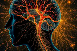 Neural Pathways: Corticospinal Tracts Overview