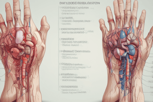 Phlebotomy Module 4: Anatomy and Venipuncture