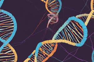 DNA Replication and Synthesis