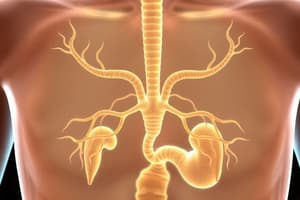 Peripheral Endocrine Glands and Metabolism