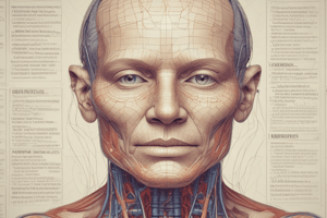 Medical Terminology Overview