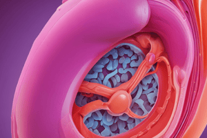 Female Reproductive Pathology Disorders Quiz