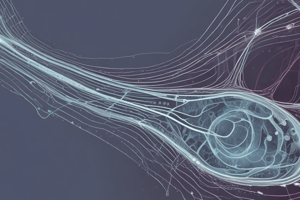 Lecture 9:Image Formation on the Retina