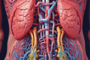 Abdominal Pain and Bowel Sounds Assessment