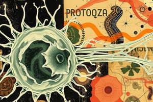 Protozoa Structure and Function