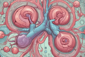 Insuficiencia Renal Aguda