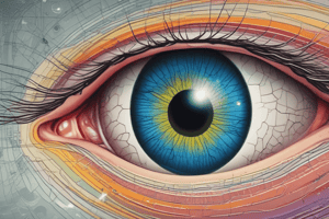 Optic Nerve Lesions and Visual Field Defects