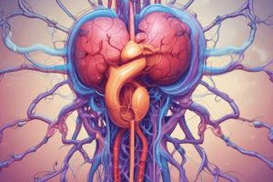 Cardiopulmonary Baroreceptors Adaptation Quiz